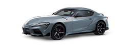 Supra Color Especial Gris Mate